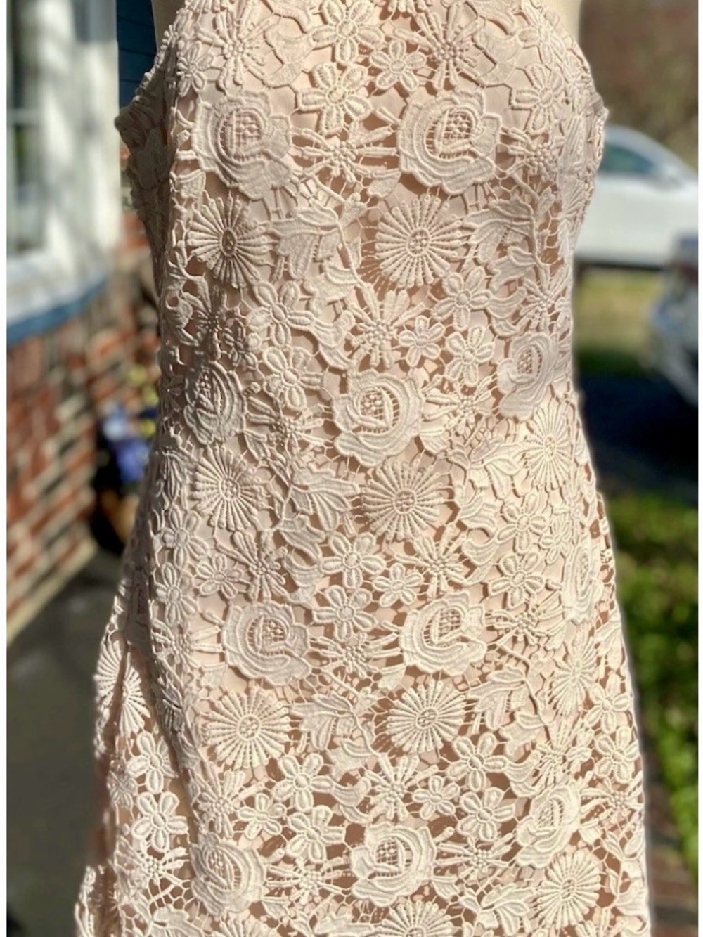 Lulu's Blush Lace Mini Dress